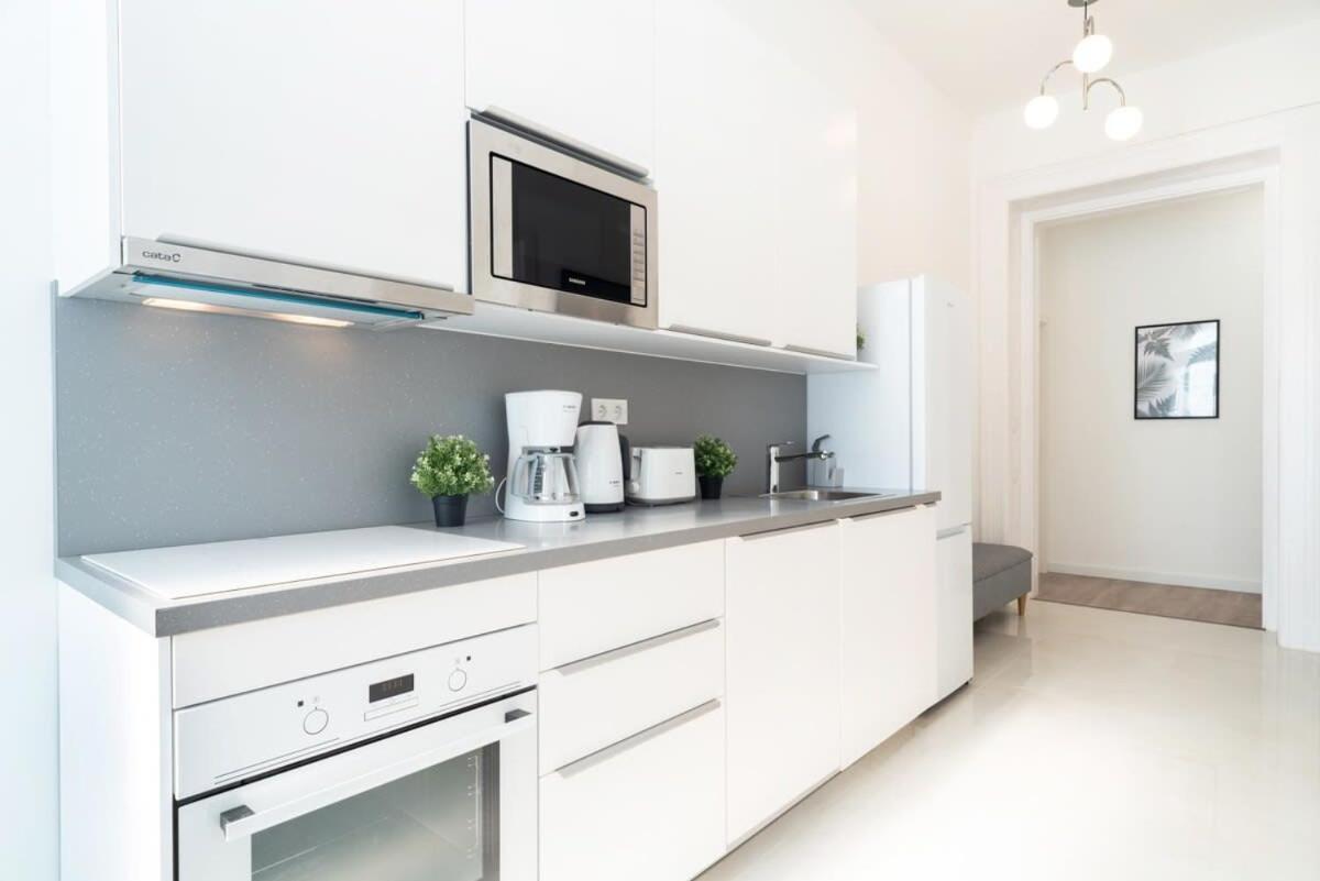 Large Apartment At Perfect Central Location بودابست المظهر الخارجي الصورة